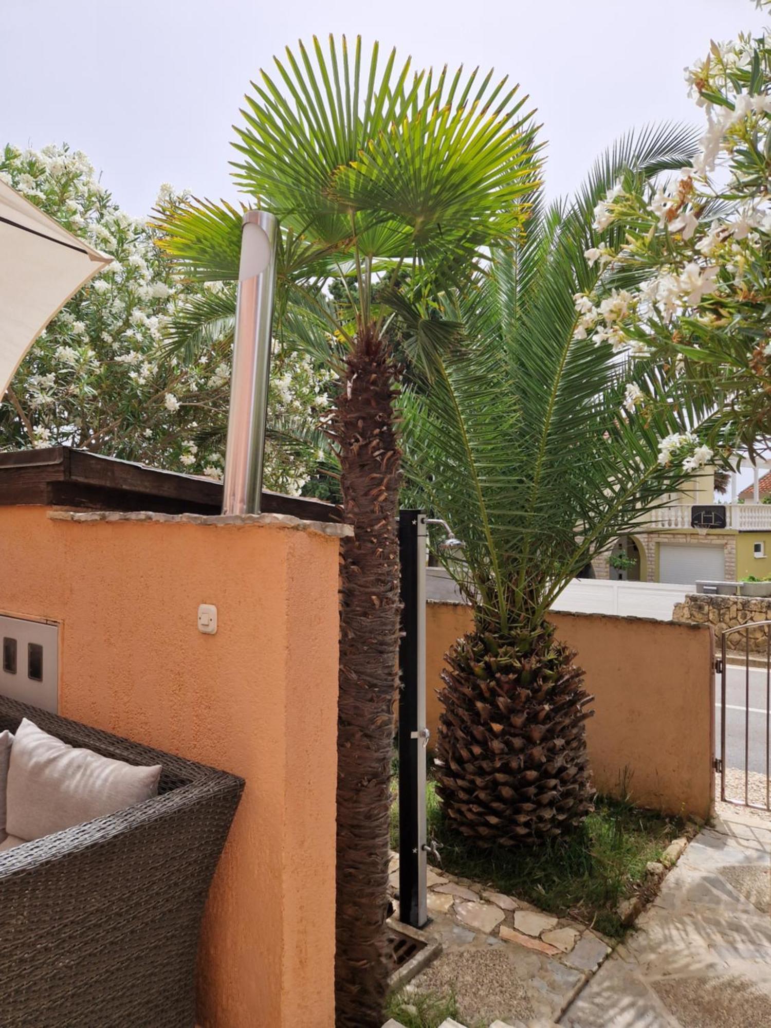 Aurelia Apartments, Vir Pokoj fotografie